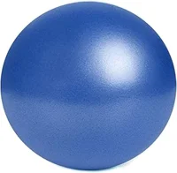 BARRE Mini Exercise Ball Image