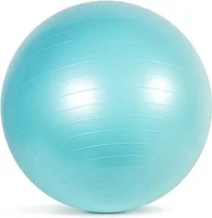 CAP Barbell 65cm Stability Ball Image