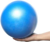 SWINILAYA Store Pilates Ball Image